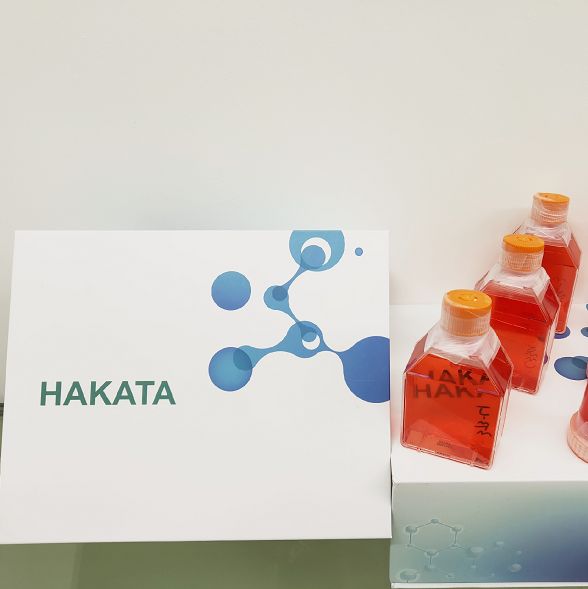 HAKATA原代成纤维细胞无血清培养体系