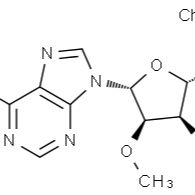 2140-79-6/ 2'-O-甲基腺苷 ,99%