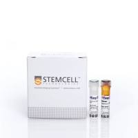 EasySep™人Pan-ILC富集试剂盒