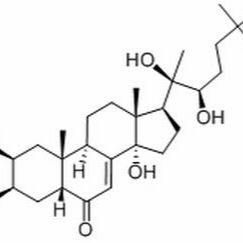 5289-74-7/	 蜕皮激素（β-蜕皮甾酮） ,	94%(HPLC)