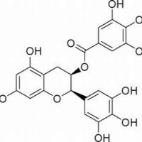989-51-5/	 表没食子儿茶素没食子酸酯,	98%