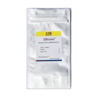 EZ-press 细胞到cDNA一步法升级版试剂盒II