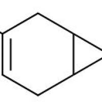 13466-78-9/	 (+)-3-蒈烯,	90%
