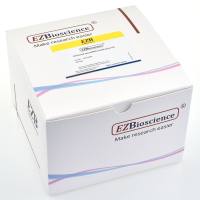 通用型microRNA提取试剂盒