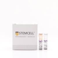 EasySep™人单核细胞富集试剂盒