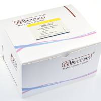 血液RNA提取试剂盒