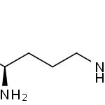 13594-51-9/ D-瓜氨酸, 99%
