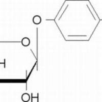 1223-07-0/	 4-基苯基α-L-吡喃阿拉伯糖苷 ,	98%