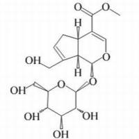 24512-63-8/	 栀子苷,	98%