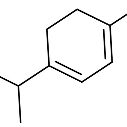 99-86-5/ α-松油烯 ,90%