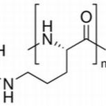 26982-20-7/	 聚-L-精氨酸盐酸盐,	分子量：600