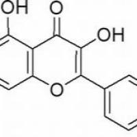 520-18-3/ 山酚 95%