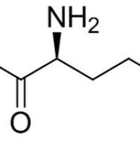 6384-08-3/L-谷氨酸 1-甲酯 ,	98%