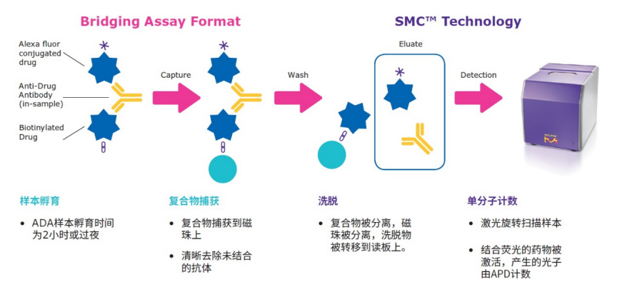 默克SMC单分子超高灵敏度检测平台帮您应对ADA检测的挑战