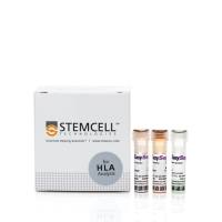 EasySep™ HLA B细胞富集试剂盒