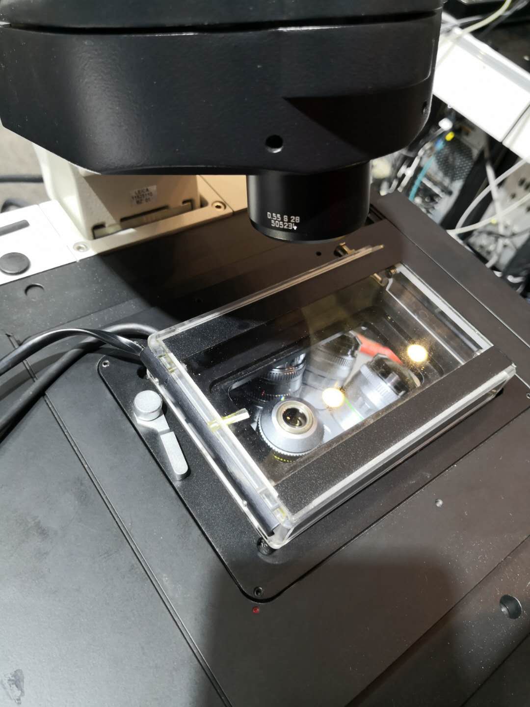 ibidi镜载活细胞培养系统