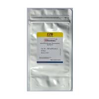 EZ-press microRNA加尾法逆转录升级版试剂盒 （大包装）