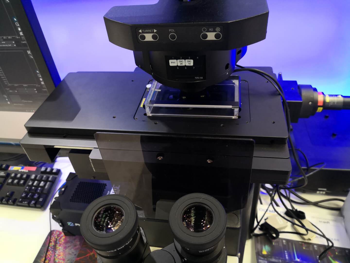 ibidi镜载活细胞培养系统