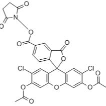 147265-60-9/5(6)-羧基-2`,7`-二氯荧光素二乙酸酯N-琥珀酰亚胺酯
