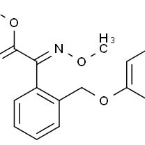 143390-89-0/ 醚菌酯 ,97%