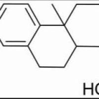 1740-19-8/	 去氢松香酸 ,	≥90%（HPLC）