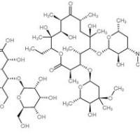 3847-29-8/乳糖酸红霉素