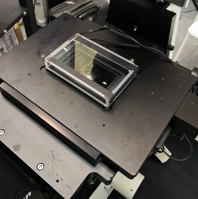 ibidi镜载活细胞培养系统