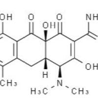 13803-65-1/	 脱水四环素盐酸盐 ,	≥98%（HPLC）