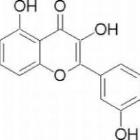 529-44-2/	 杨梅素,	96%