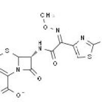 98753-19-6/	 头孢匹罗硫酸盐 ,	98%