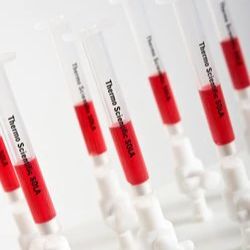 Thermo Scientific™ SOLA™ SPE 纯化柱60109-001