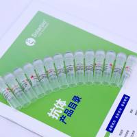 Anti-IkappaB-epsilon Polyclonal Antibody