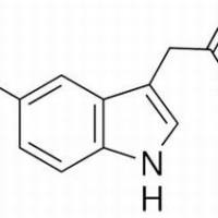 54-16-0/	 5-羟基吲哚乙酸 ,分析标准品,HPLC≥98%