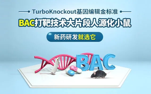 BAC打靶技术大片段人源化小鼠，新药研发就选它 — TurboKnockout基因编辑