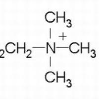 67-48-1/ 氯化胆碱 ,AR,98%