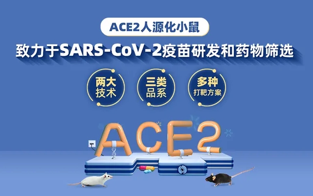 ACE2人源化小鼠：致力于SARS-CoV-2疫苗研发和药物筛选