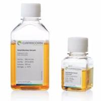 04-001-1ACS胎牛血清