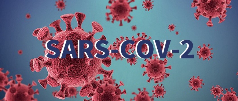 新冠假病毒