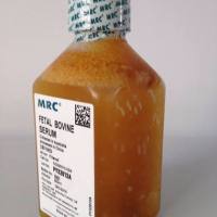 SV30160.03胎牛血清