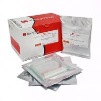 Precast-Gel非变性蛋白预制胶 浓度15%