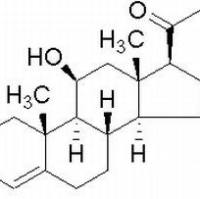 50-22-6/ 肾上腺酮 ,特纯,97%