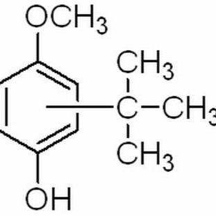 25013-16-5/	 丁基羟基茴香,	分析标准品,1000μg/ml in ethanol