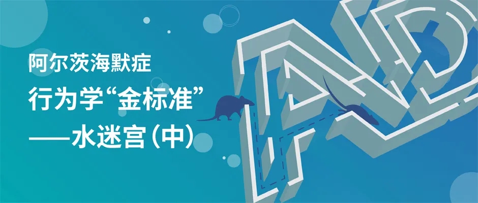 阿尔茨海默症行为学水迷宫— 流程篇