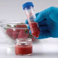 Thermo Scientific™ HyperSep™ 分散型 SPE 净化产品 (QuEChERS)60105-209