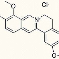 633-65-8/ 盐酸小檗碱 ,分析标准品,HPLC≥98%