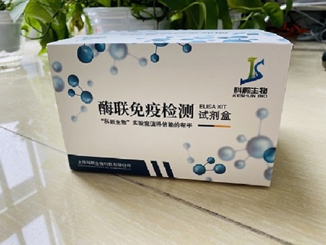 小鼠血纤蛋白原(Fbg)ELISA试剂盒