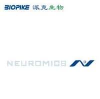 MSCGro-Mesenchymal Stem Cell, complete, SF