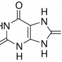 69-93-2/ 尿酸, BR,99%