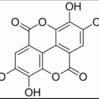 476-66-4/ 鞣花酸,分析标准品,HPLC≥98%