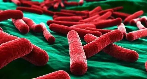 高温来袭 | 关于食源性疾病,你需要知道这些